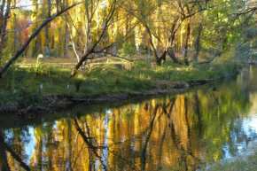  On The Banks  Брайт